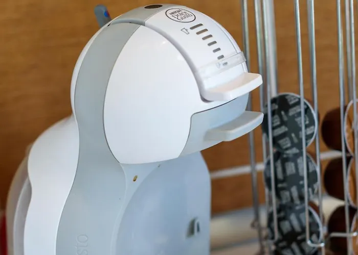 Summerland Vibes Mamaia